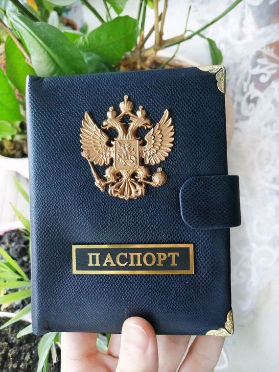 прописка в Медногорске